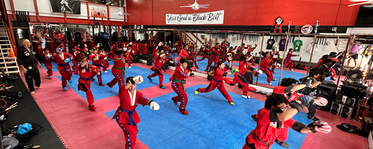 Ohana News - November 2025